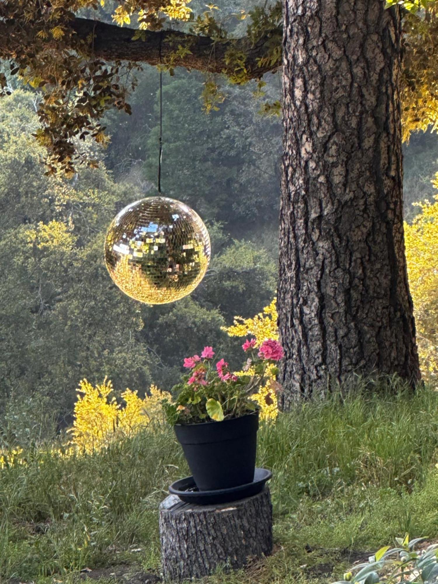 100 Mile View-Fire Pit, Romantic, Peaceful, Private Crestline Eksteriør billede